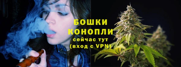 стафф Покачи