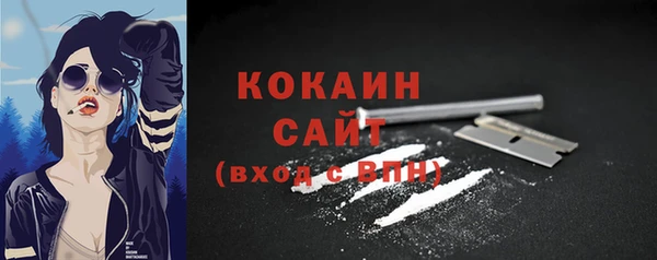 стафф Покачи