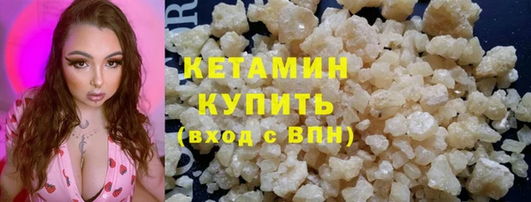 шишки Аркадак